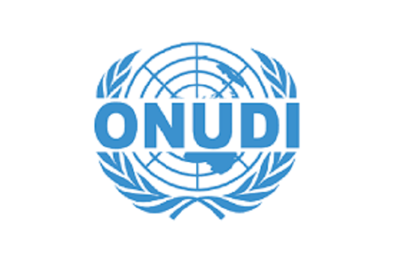 Offres ONUDI