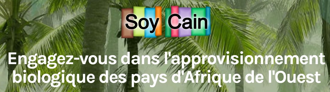 UN RESPONSABLE QUALITE